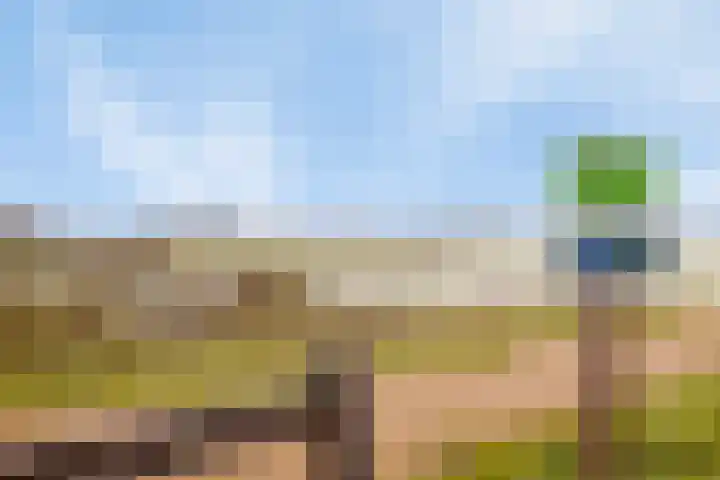 Buitenhuishof 21 Veenendaal thumbnail 61