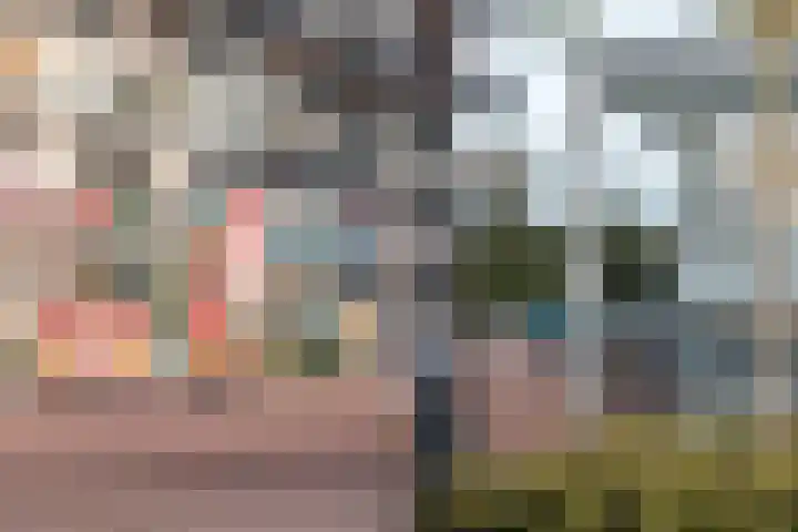 Buitenhuishof 21 Veenendaal thumbnail 64