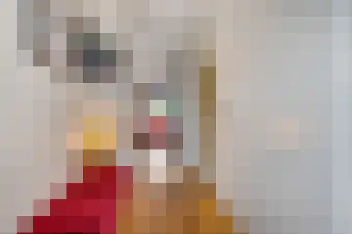 Buitenhuishof 21 Veenendaal thumbnail 7
