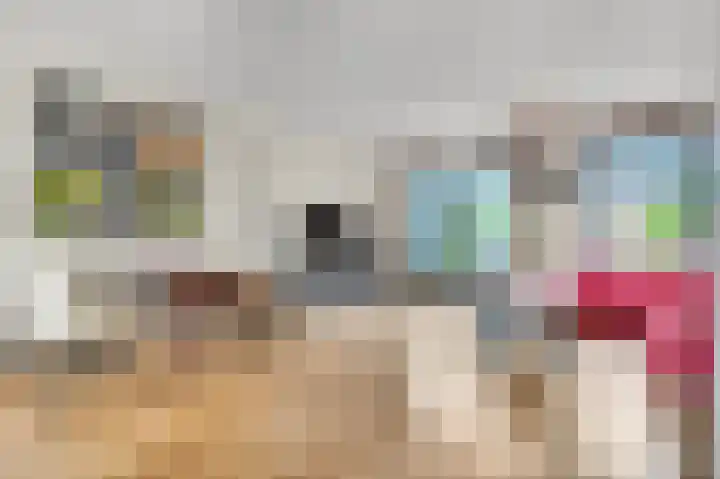 Buitenhuishof 21 Veenendaal thumbnail 9