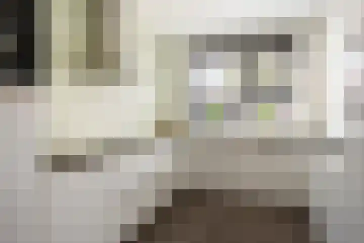Buitenhuishof 5 Veenendaal thumbnail 10