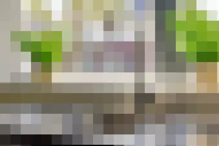 Buitenhuishof 5 Veenendaal thumbnail 11