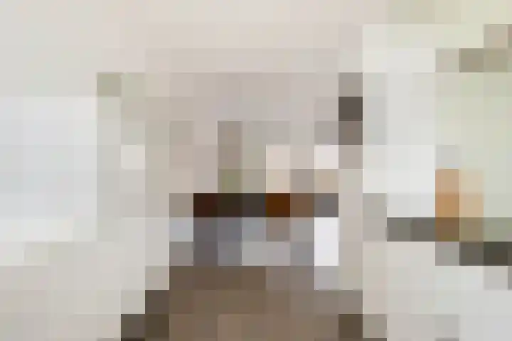 Buitenhuishof 5 Veenendaal thumbnail 12