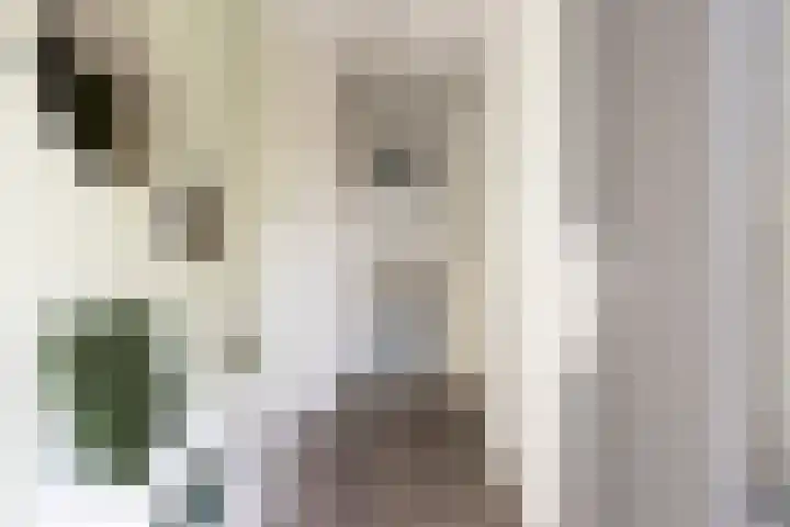 Buitenhuishof 5 Veenendaal thumbnail 15