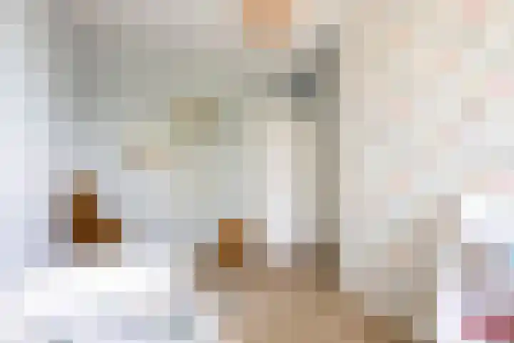 Buitenhuishof 5 Veenendaal thumbnail 21