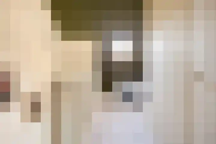 Buitenhuishof 5 Veenendaal thumbnail 26