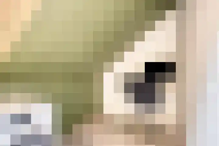 Buitenhuishof 5 Veenendaal thumbnail 27