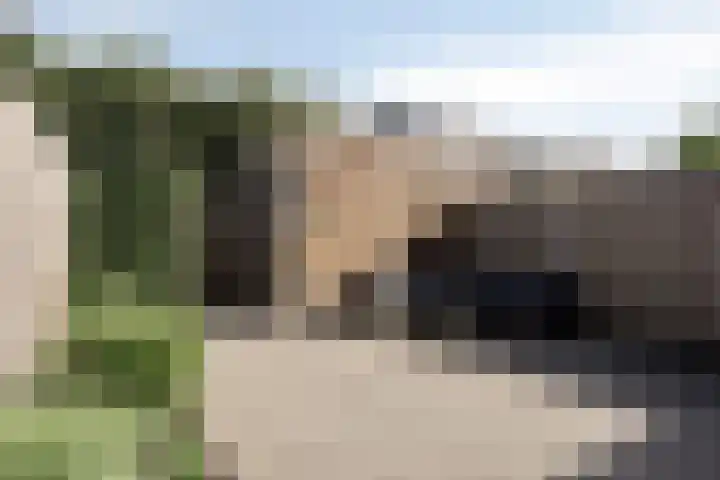 Buitenhuishof 5 Veenendaal thumbnail 31