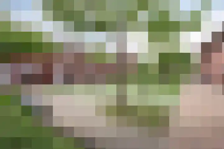 Buitenhuishof 5 Veenendaal thumbnail 38