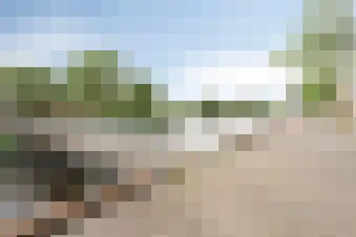 Buitenhuishof 5 Veenendaal thumbnail 39