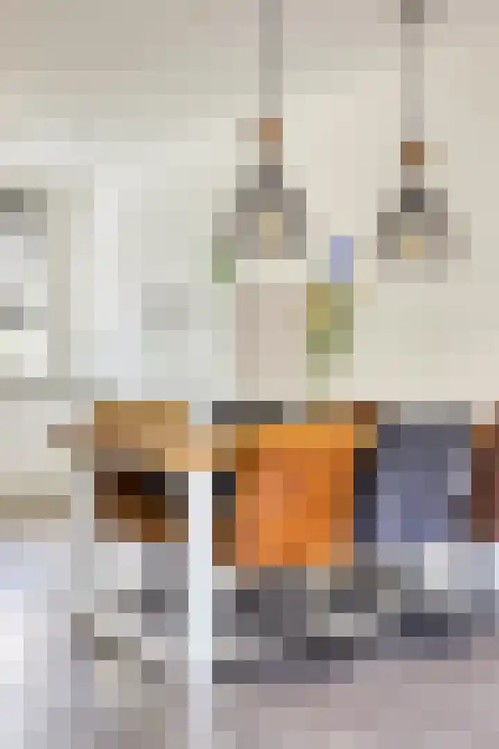 Buitenhuishof 5 Veenendaal thumbnail 5