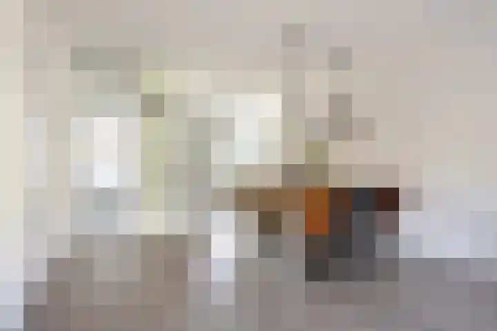 Buitenhuishof 5 Veenendaal thumbnail 9