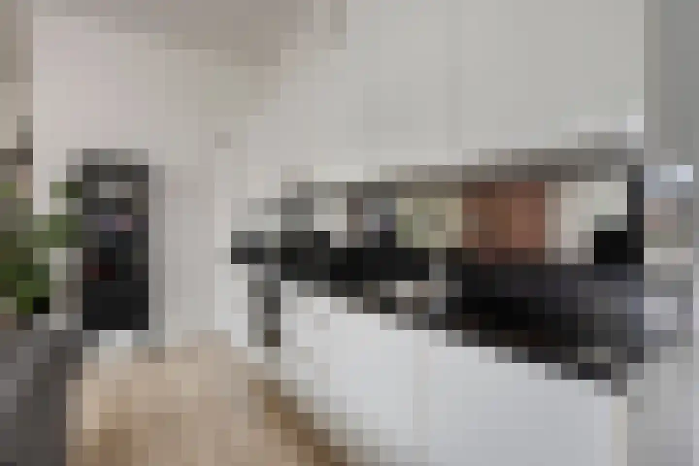 Buitenhuislaan 25 Landsmeer thumbnail 11