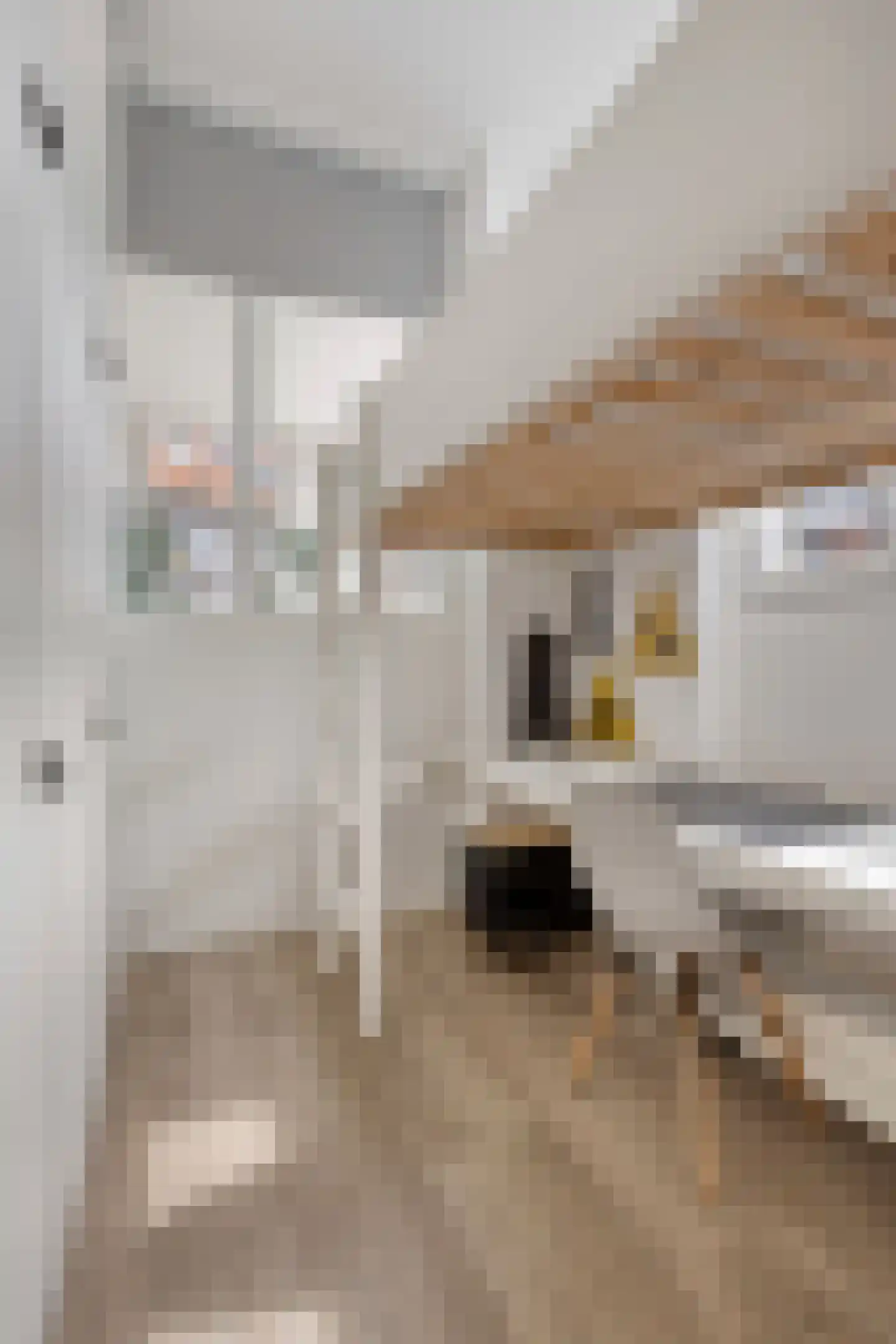 Buitenhuislaan 25 Landsmeer thumbnail 17