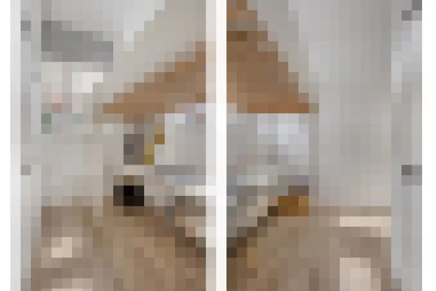 Buitenhuislaan 25 Landsmeer thumbnail 33