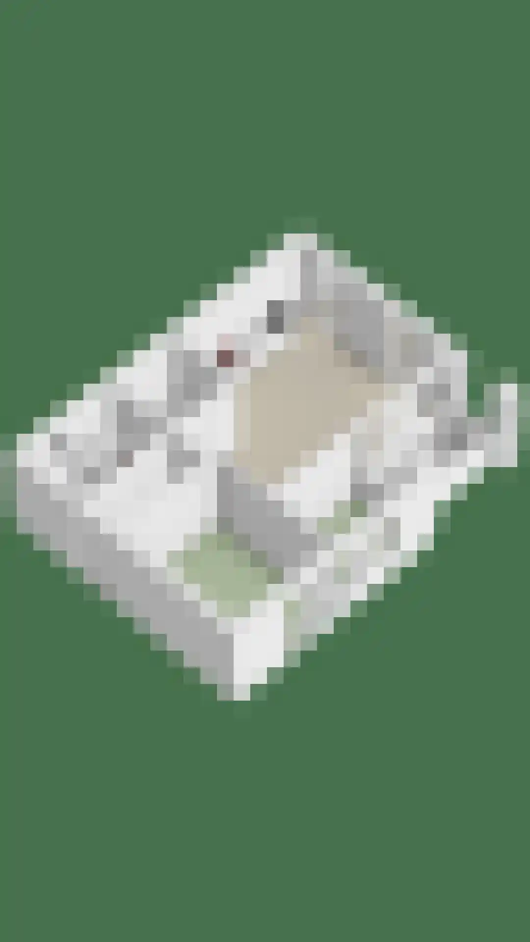 Buitenhuislaan 25 Landsmeer thumbnail 38
