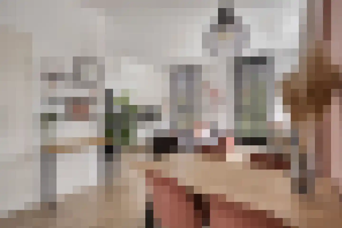 Buitenhuislaan 25 Landsmeer thumbnail 4