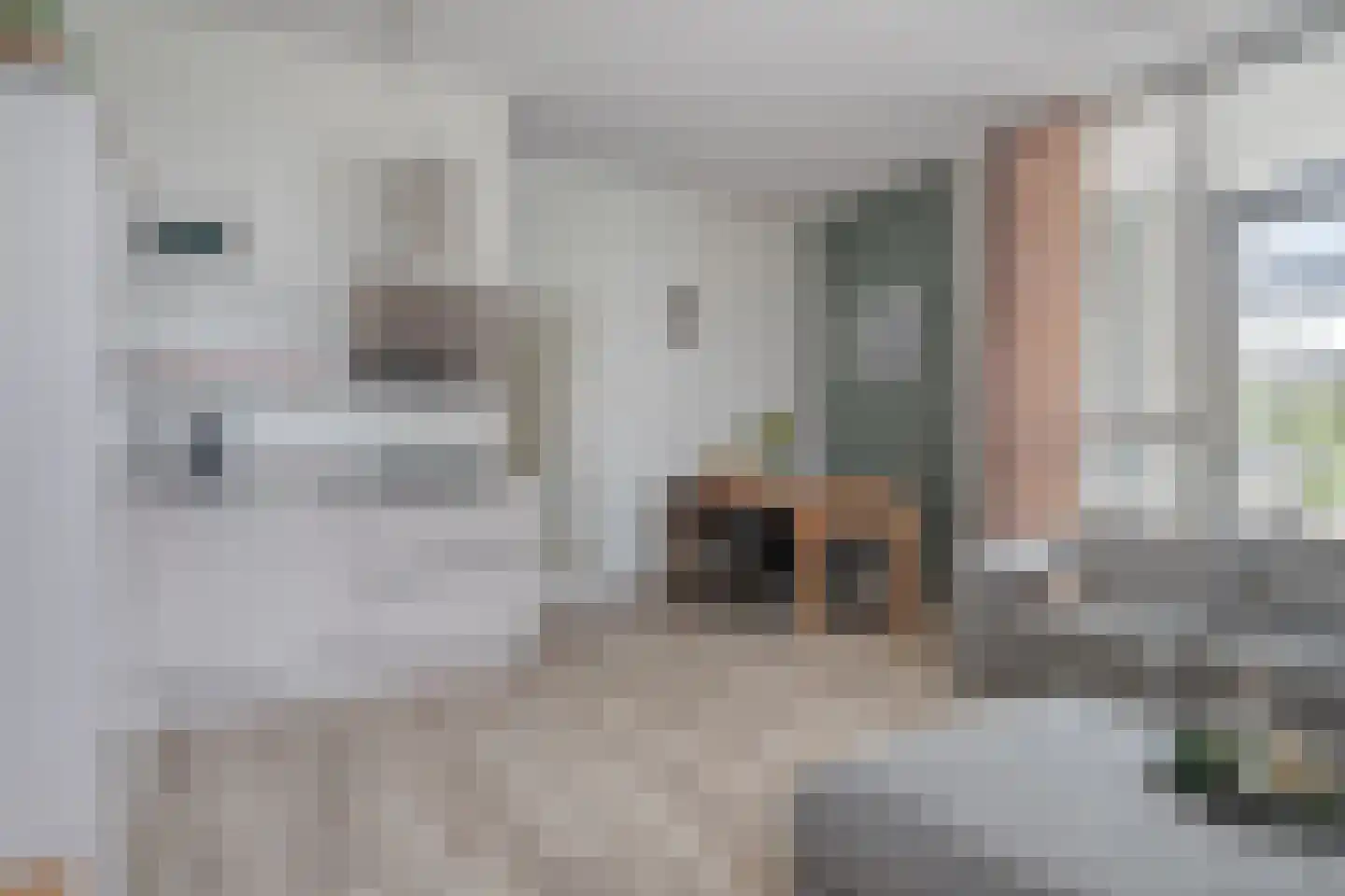 Buitenhuislaan 26 Landsmeer thumbnail 12