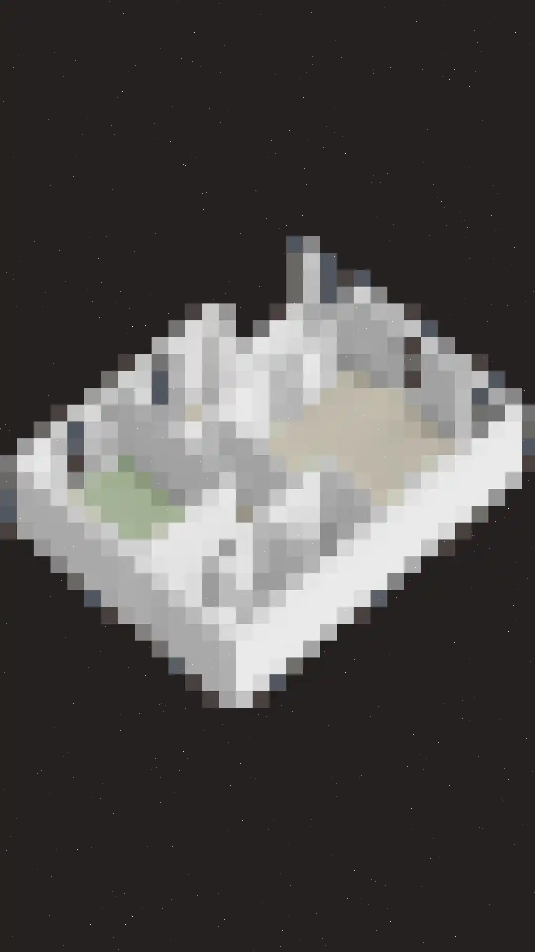 Buitenhuislaan 26 Landsmeer thumbnail 38