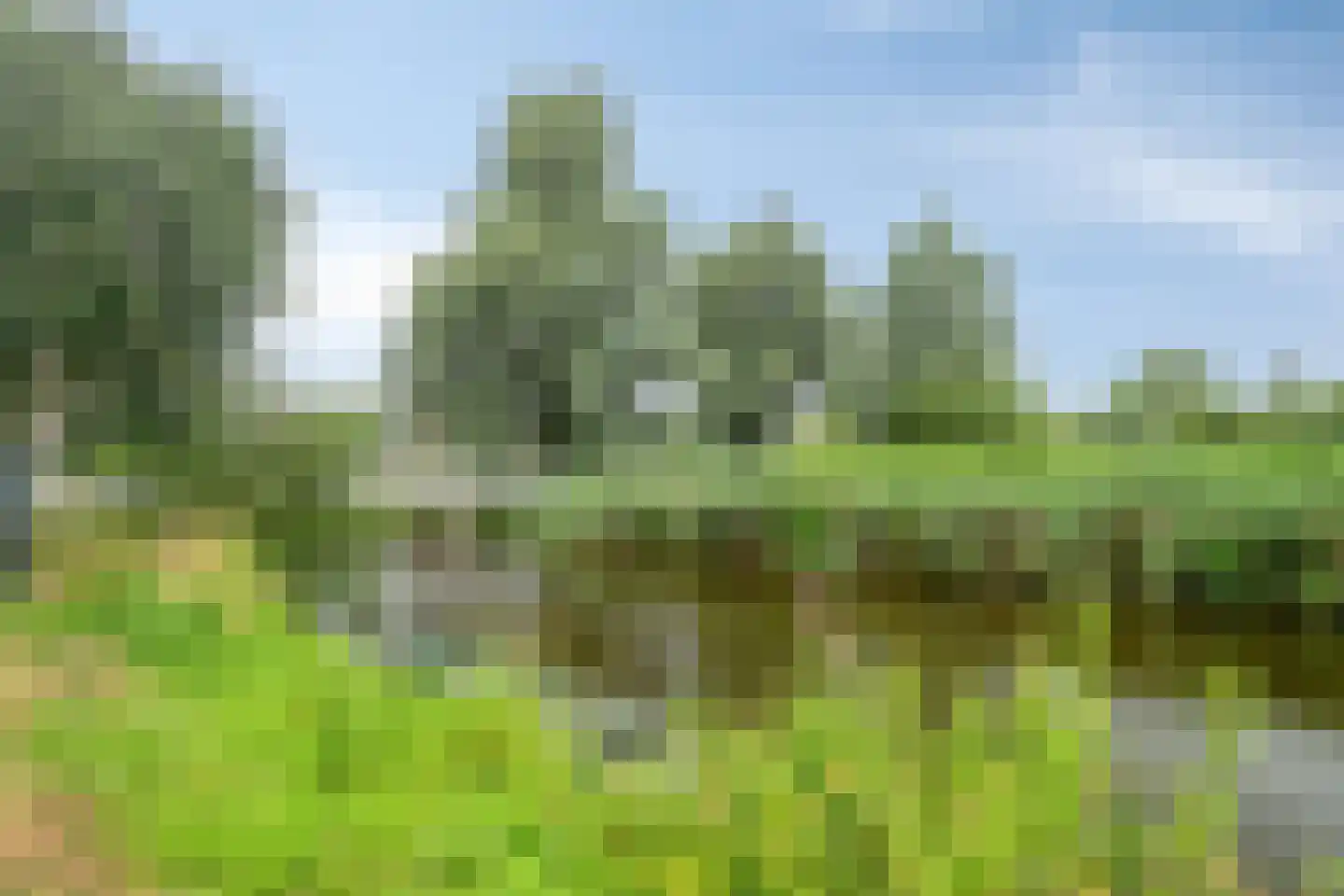 Buitenhuislaan 26 Landsmeer thumbnail 5