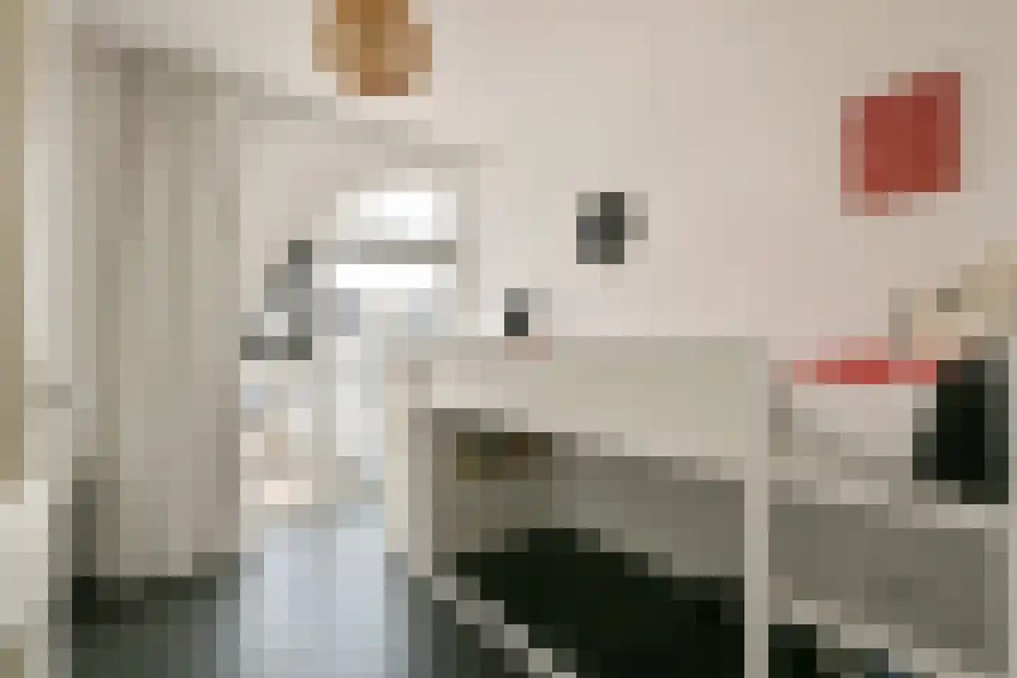 Buitenhuislaan 72 Landsmeer thumbnail 17
