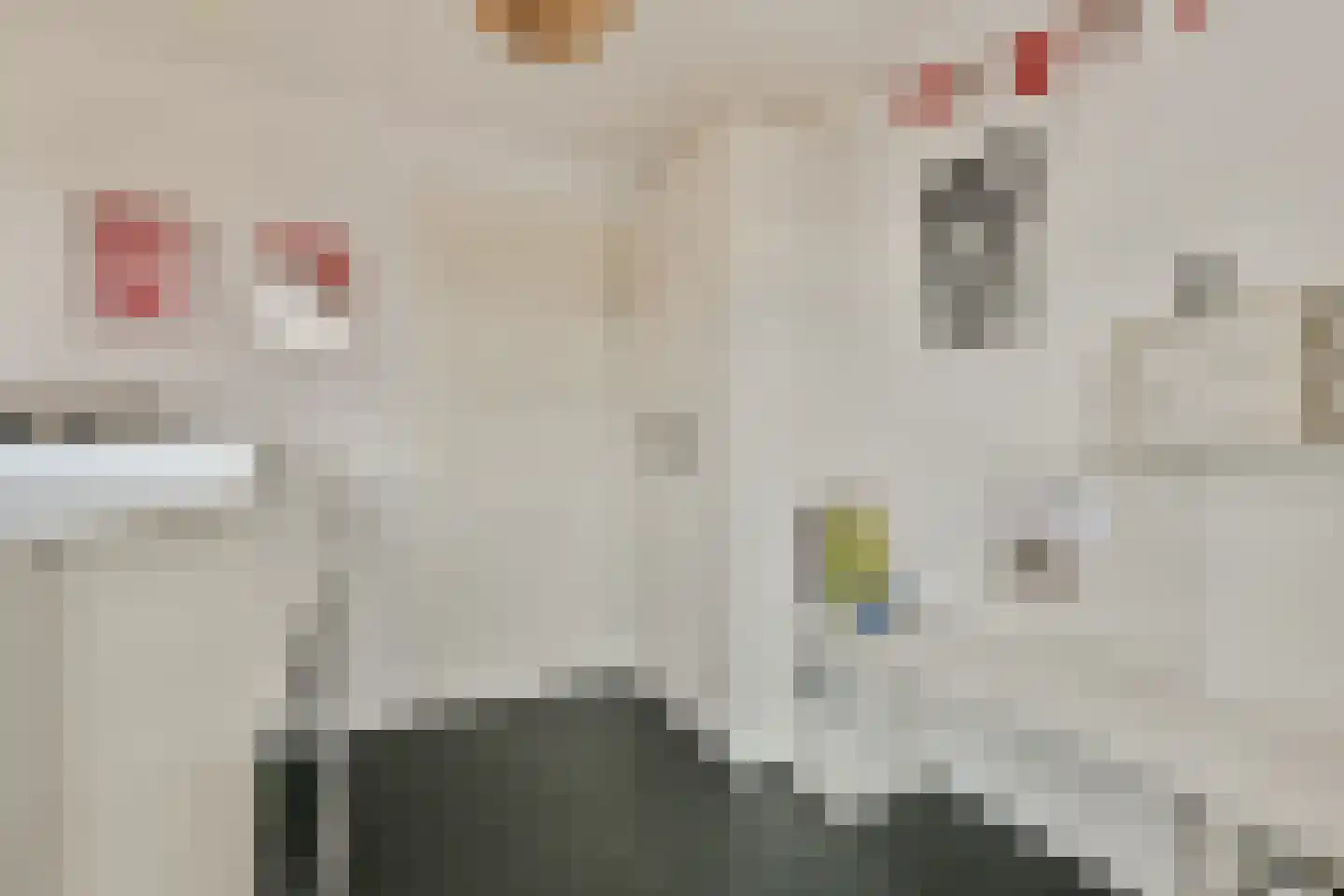 Buitenhuislaan 72 Landsmeer thumbnail 18