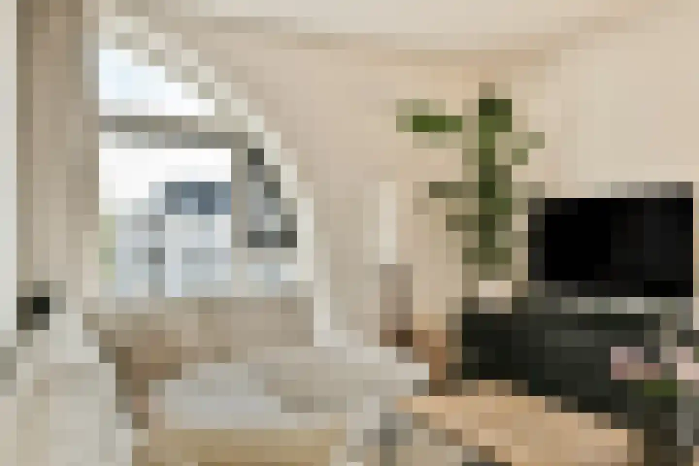 Buitenhuislaan 72 Landsmeer thumbnail 5