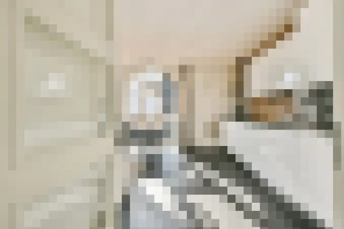 Buitenhuislaan 72 Landsmeer thumbnail 7
