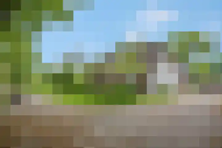 Buitenhuisweg 6 Barneveld thumbnail 10