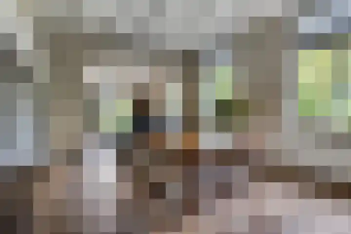 Buitenhuisweg 6 Barneveld thumbnail 14