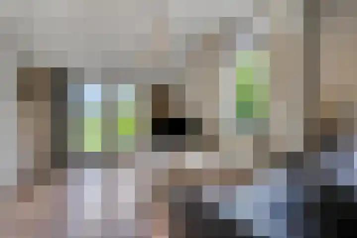 Buitenhuisweg 6 Barneveld thumbnail 16