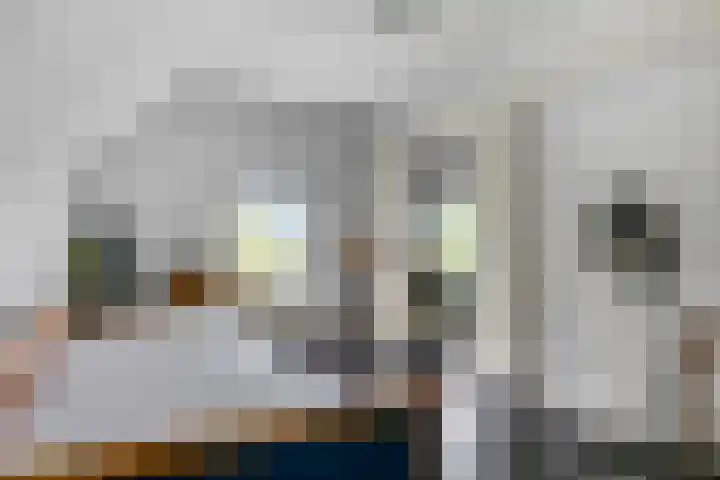 Buitenhuisweg 6 Barneveld thumbnail 28