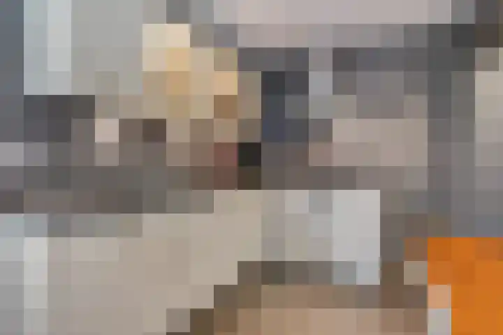 Buitenhuisweg 6 Barneveld thumbnail 31