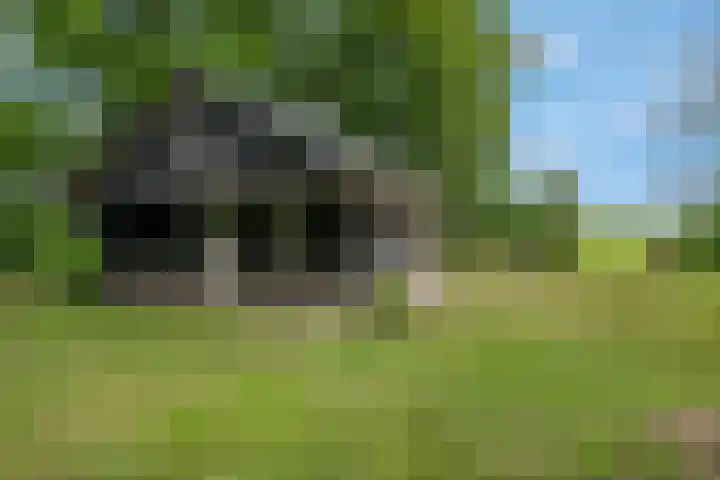 Buitenhuisweg 6 Barneveld thumbnail 35