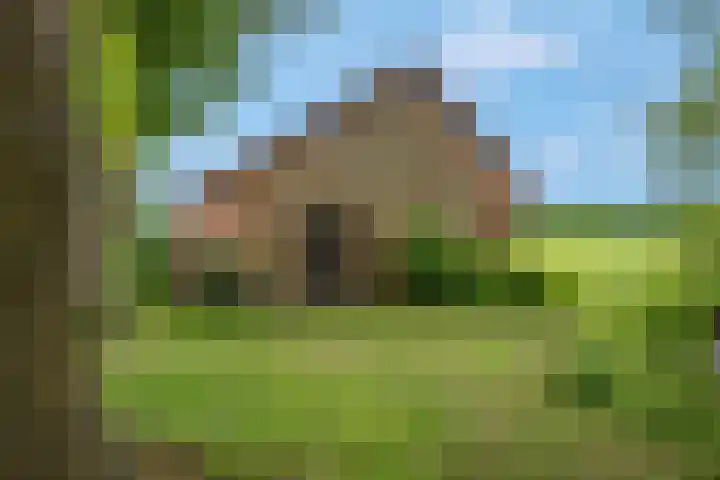Buitenhuisweg 6 Barneveld thumbnail 37