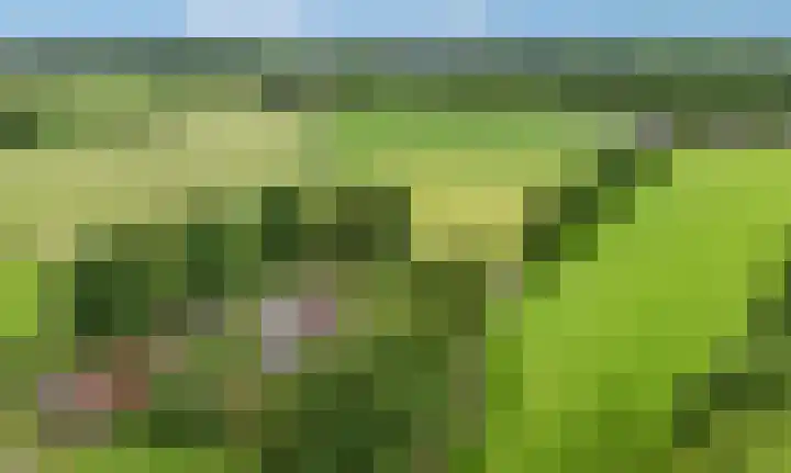 Buitenhuisweg 6 Barneveld thumbnail 4