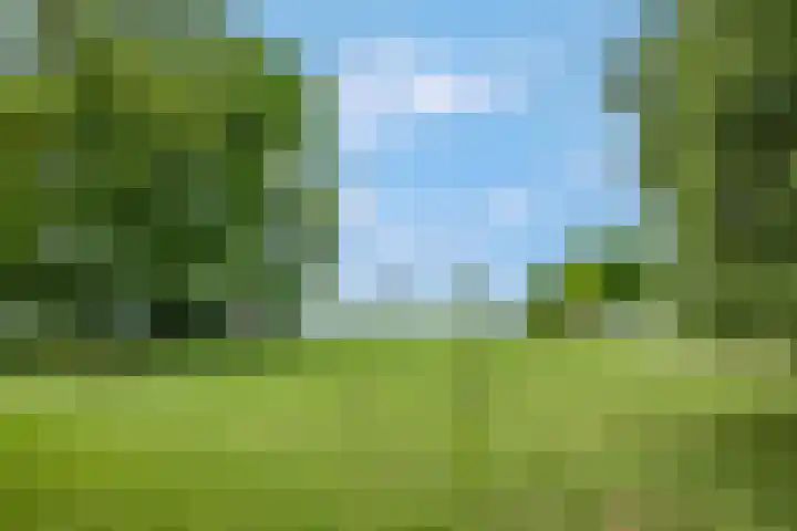 Buitenhuisweg 6 Barneveld thumbnail 40