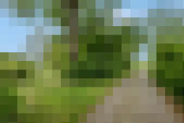 Buitenhuisweg 6 Barneveld thumbnail 41