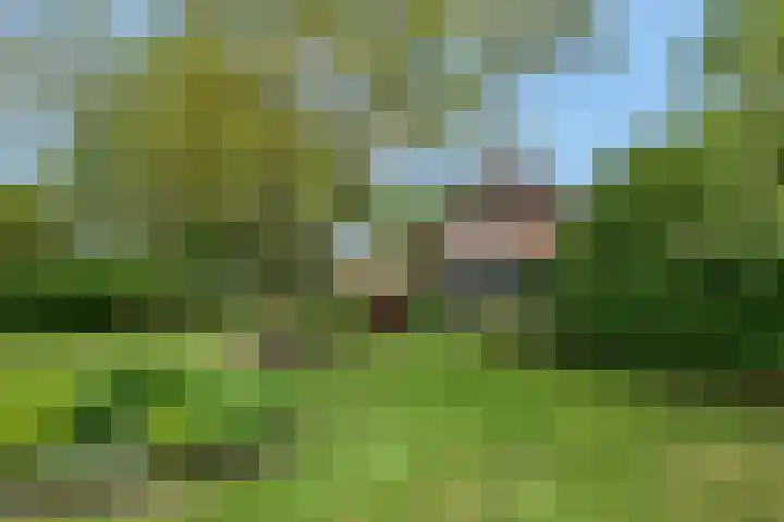 Buitenhuisweg 6 Barneveld thumbnail 5