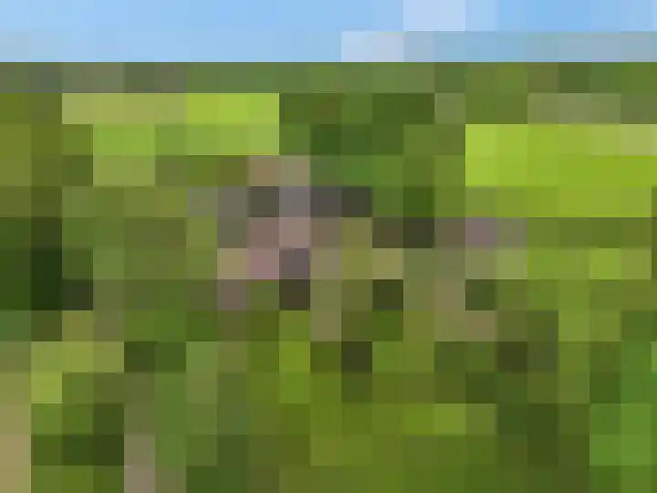 Buitenhuisweg 6 Barneveld thumbnail 6