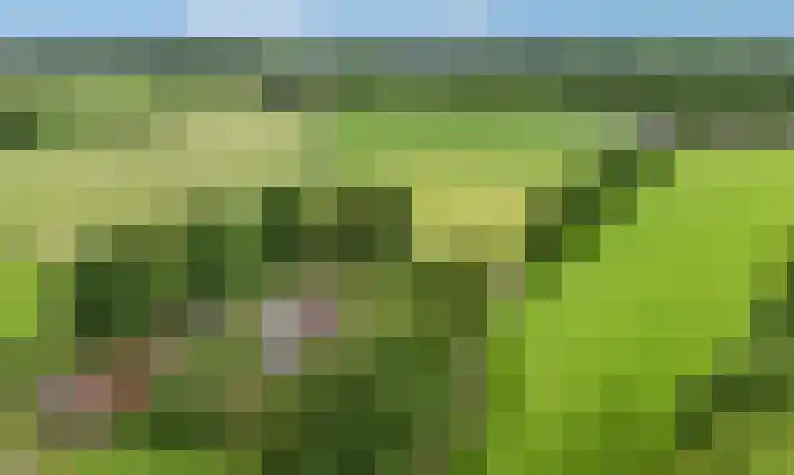 Buitenhuisweg 6 Barneveld thumbnail 7