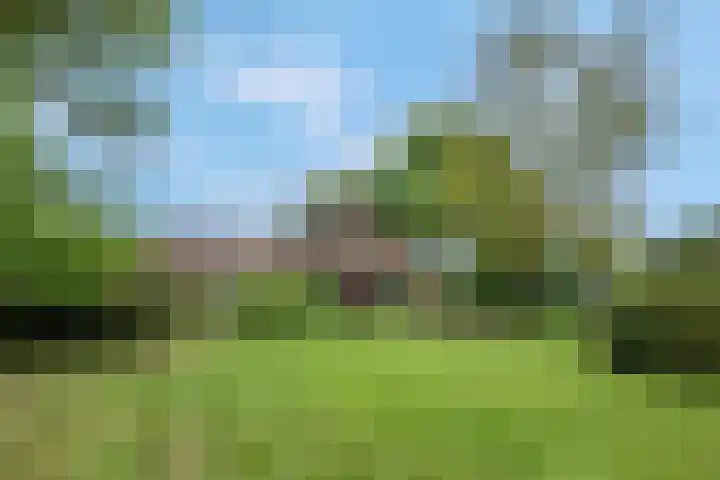Buitenhuisweg 6 Barneveld thumbnail 9