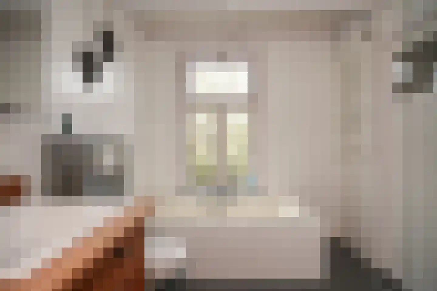 Buitenhuizenpoort 5 Buren thumbnail 27