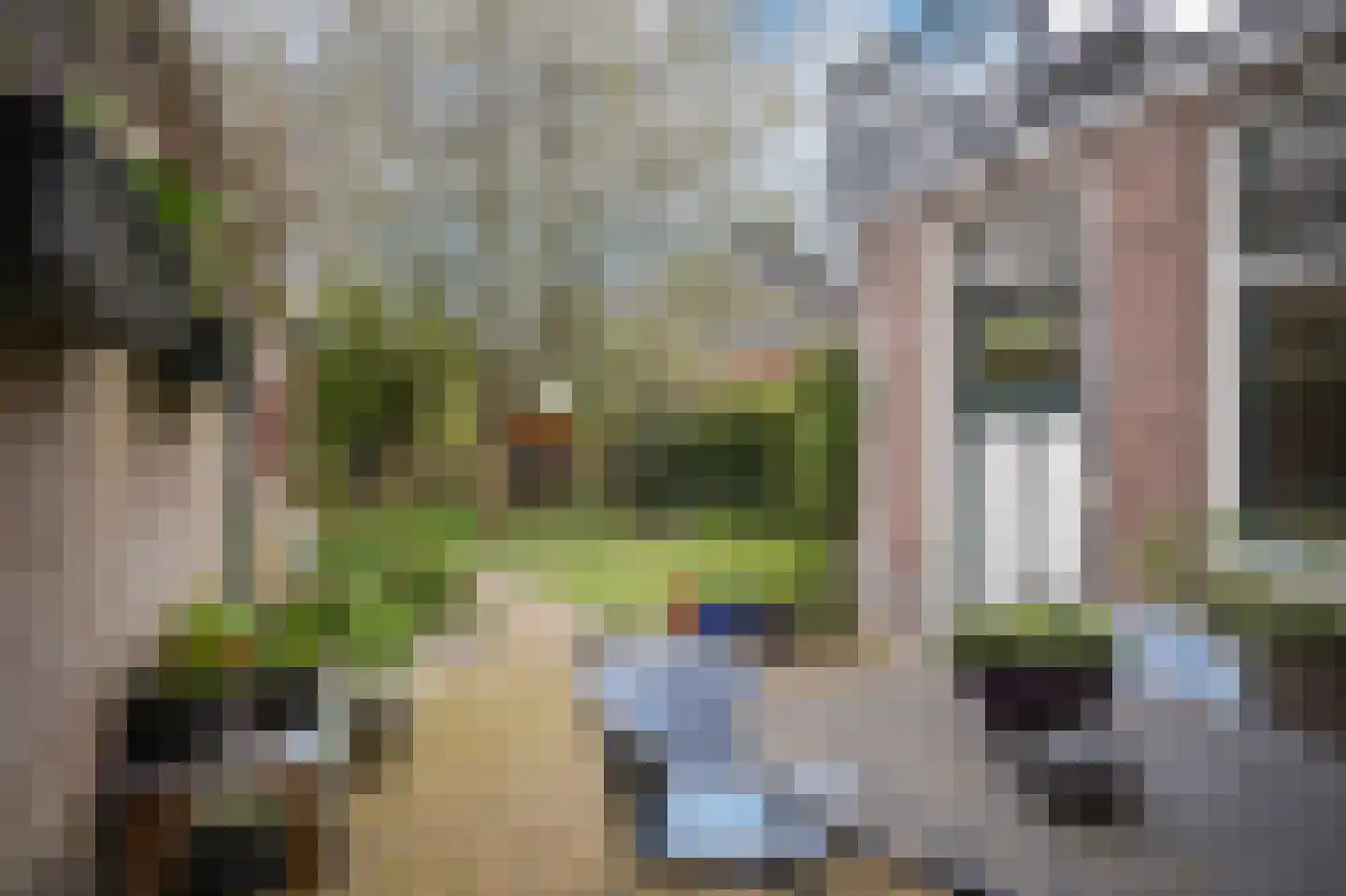 Buitenhuizenpoort 5 Buren thumbnail 35