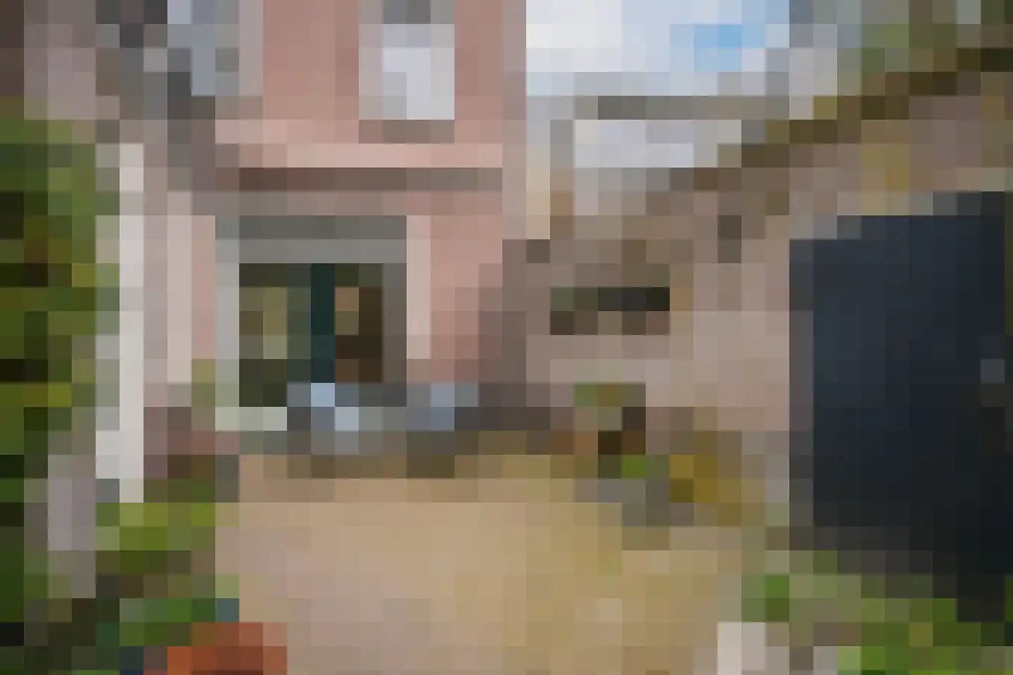 Buitenhuizenpoort 5 Buren thumbnail 36