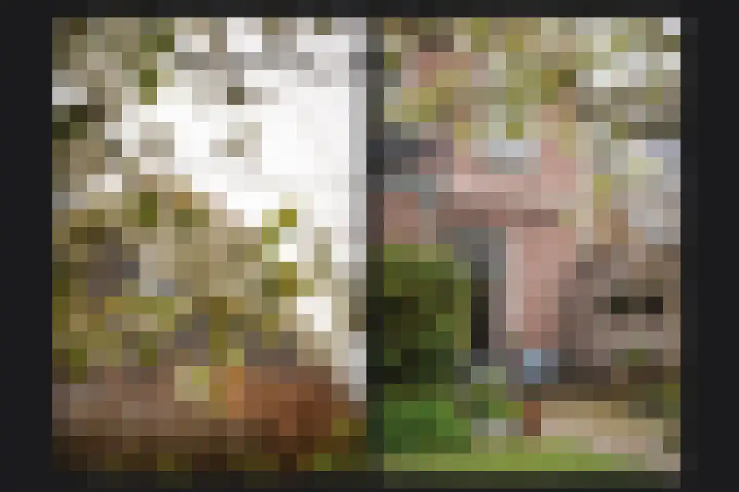 Buitenhuizenpoort 5 Buren thumbnail 38