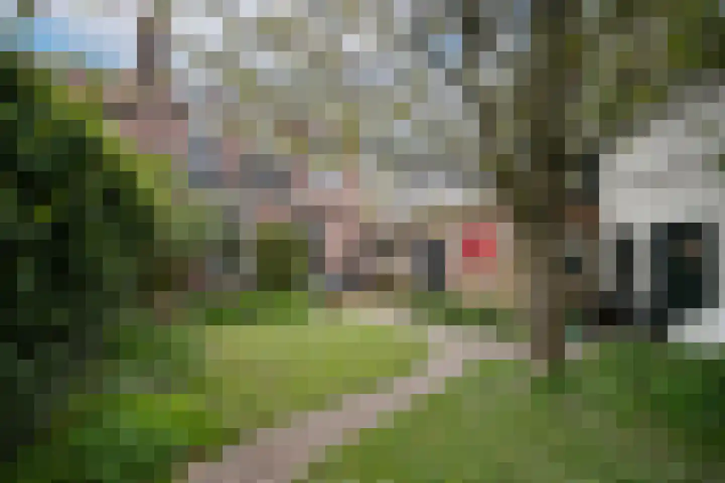 Buitenhuizenpoort 5 Buren thumbnail 39