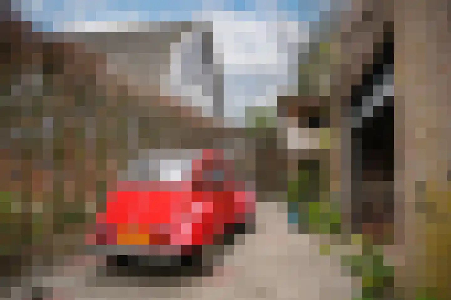 Buitenhuizenpoort 5 Buren thumbnail 45