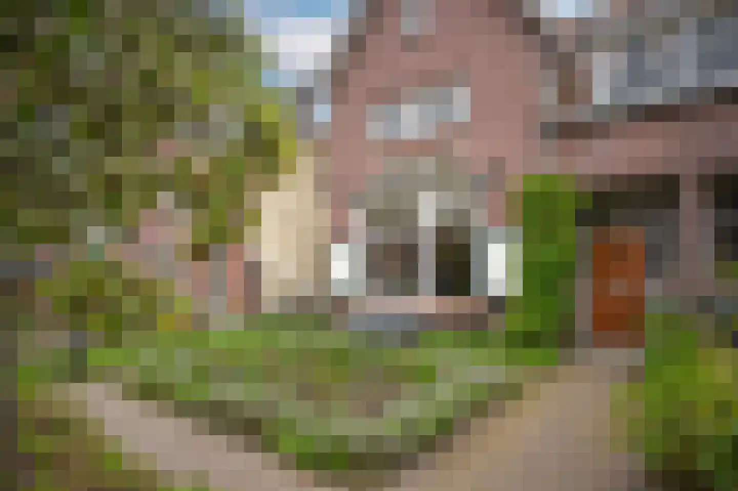 Buitenhuizenpoort 5 Buren thumbnail 48