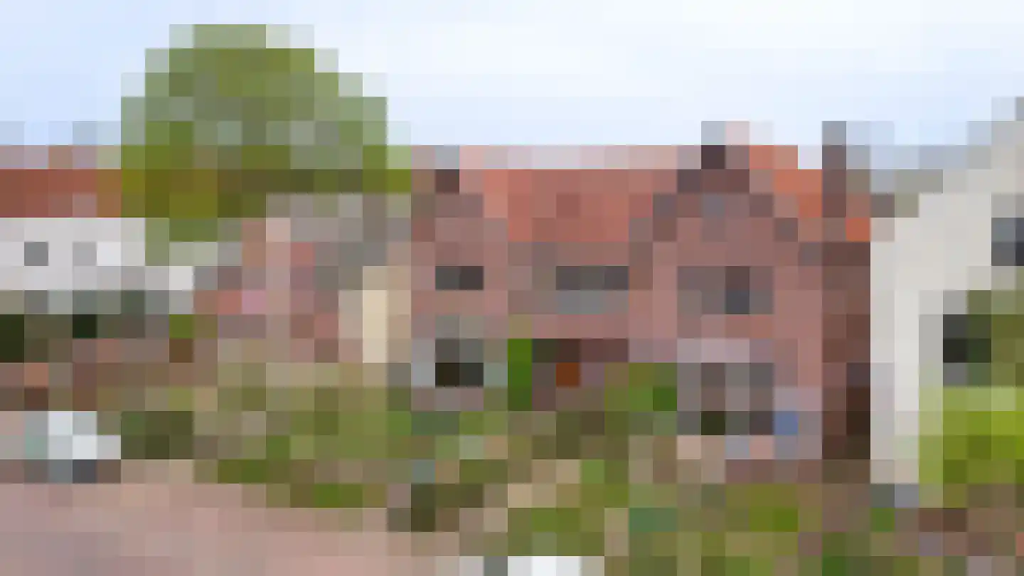 Buitenhuizenpoort 5 Buren thumbnail 50